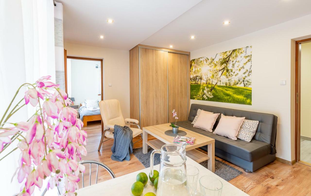 ויסלאו Apartament I Pokoje Goscinne U Lusi מראה חיצוני תמונה